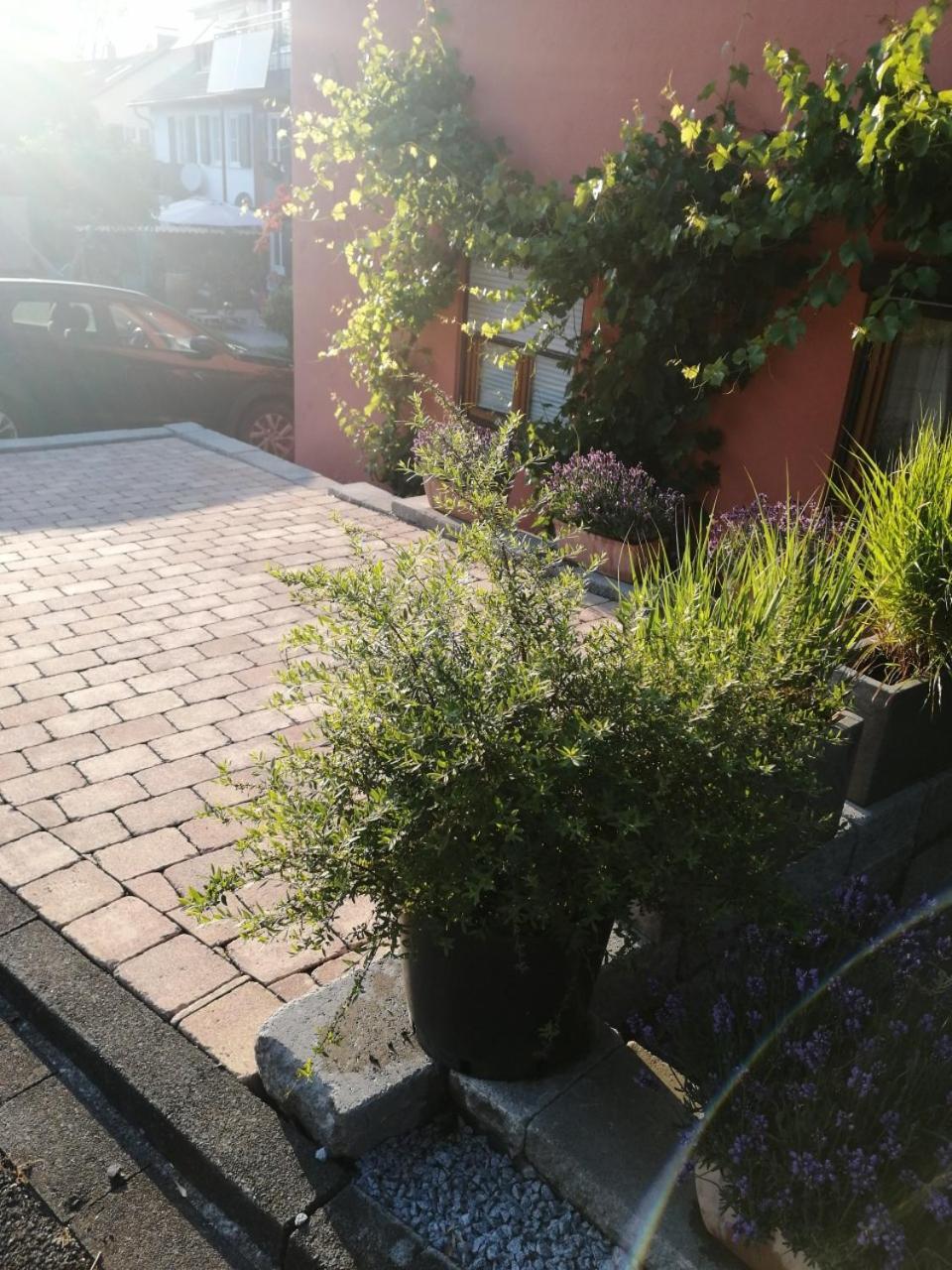 Haus Meersburg Rebe Екстер'єр фото